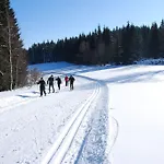 Arnika Hrabetice *