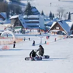 Arnika Hrabetice