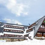 Arnika Hrabetice