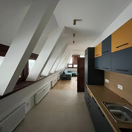 Arnika Hrabetice Janov nad Nisou