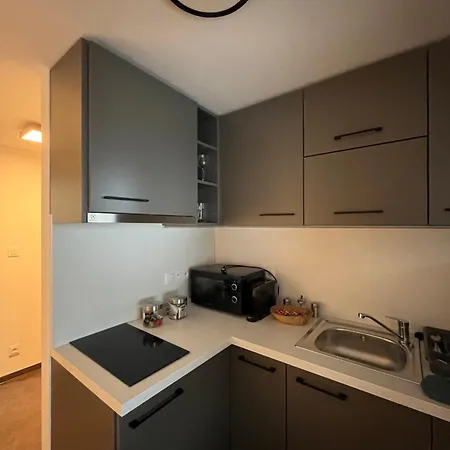 Apartment Arnika Hrabetice *
