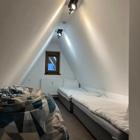 Arnika Hrabetice *