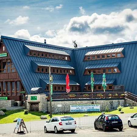 Apartment Arnika Hrabetice *