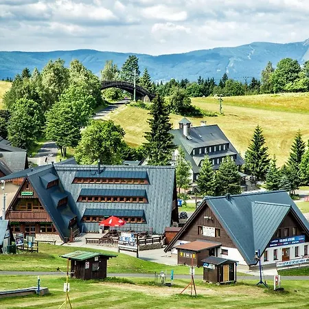 Arnika Hrabetice