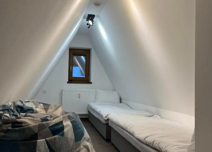 Arnika Hrabetice *