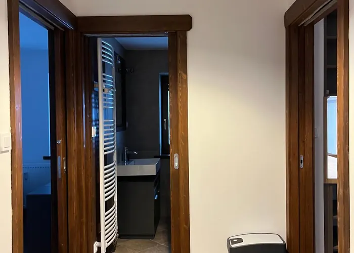 Arnika Hrabetice * Janov nad Nisou